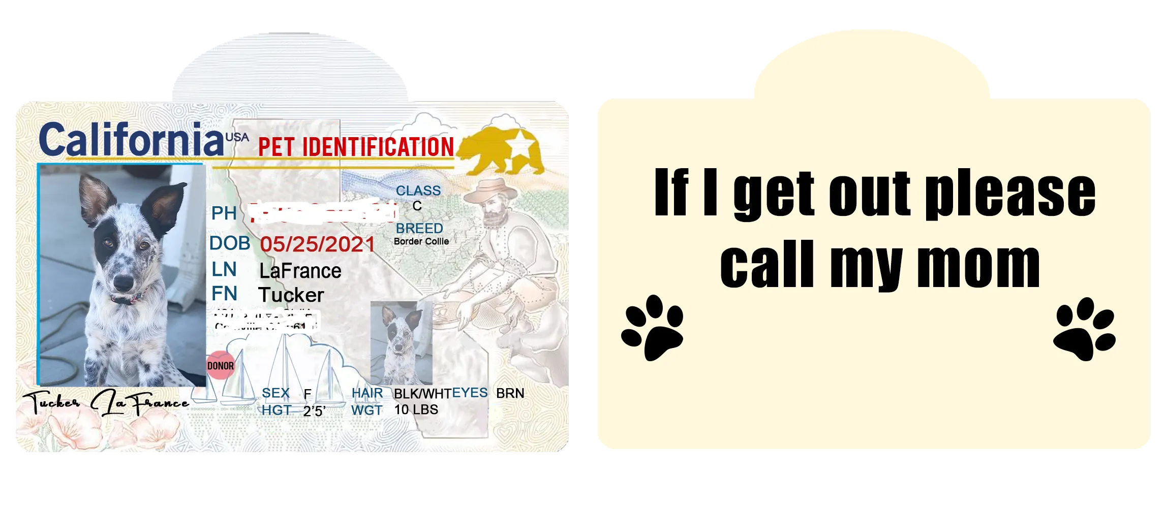 Pet ID Tag Personalized with your state