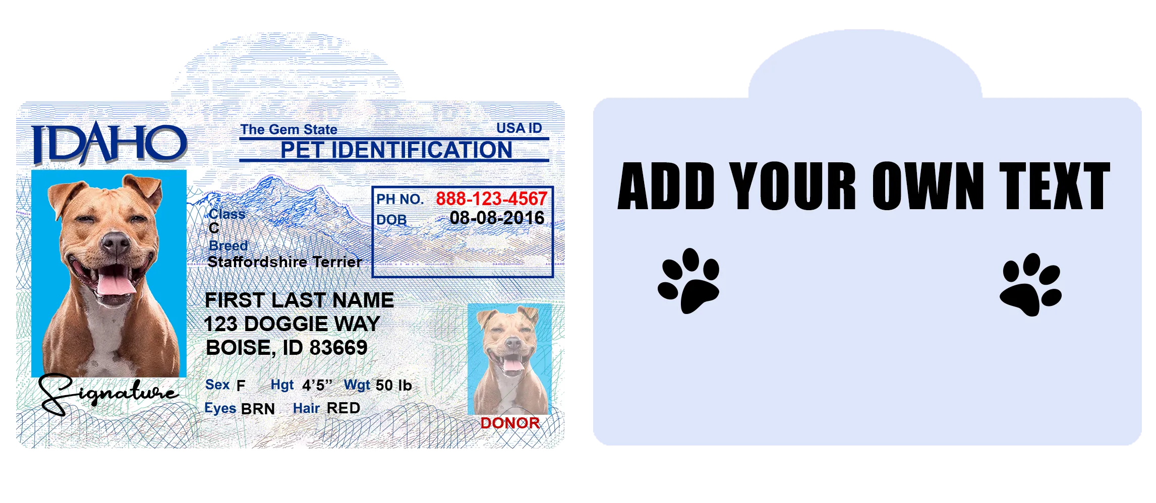 Pet ID Tag Personalized with your state