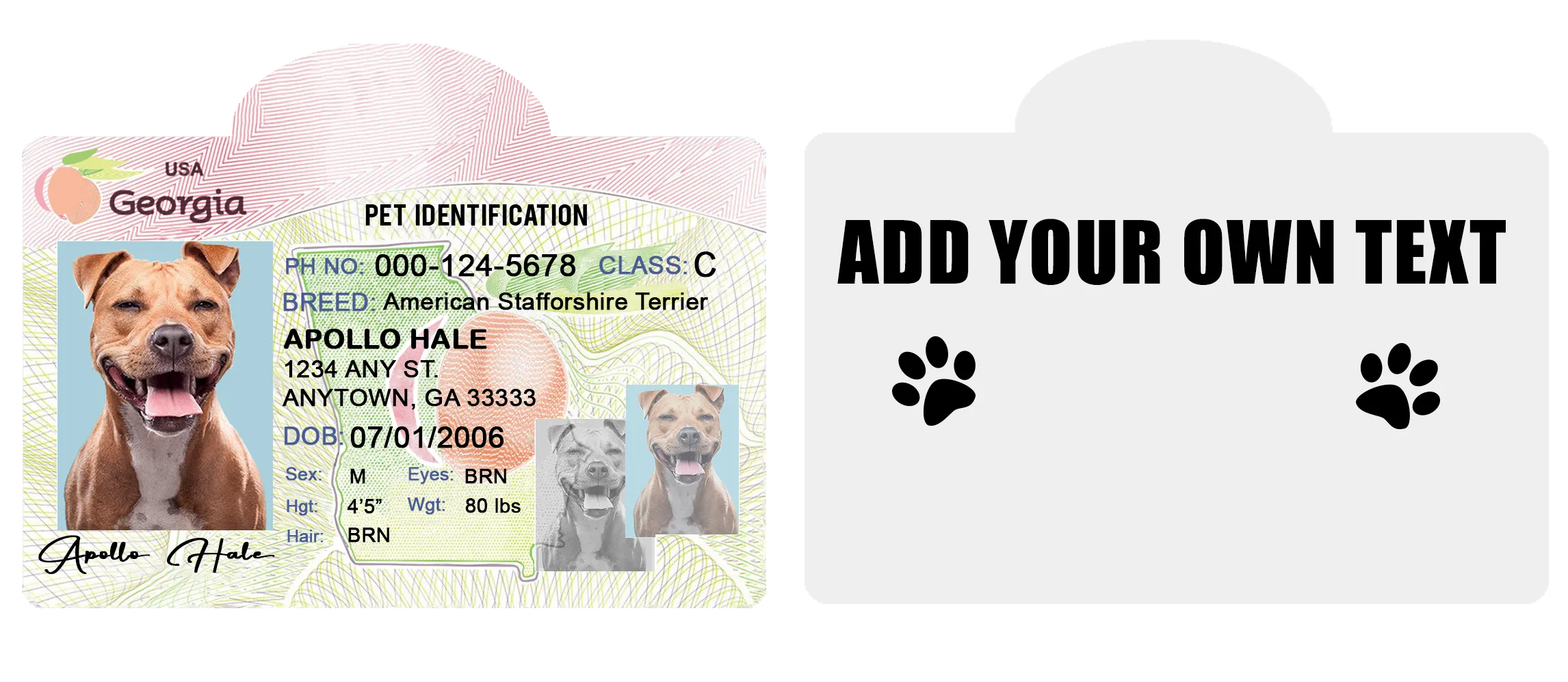 Pet ID Tag Personalized with your state