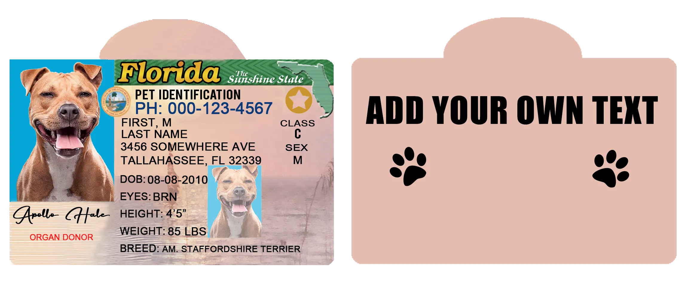 Pet ID Tag Personalized with your state
