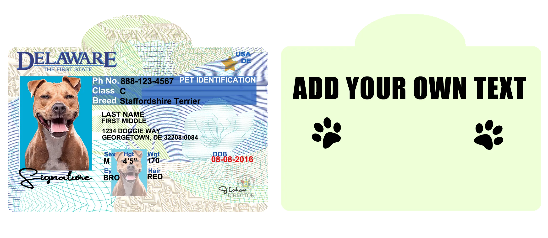 Pet ID Tag Personalized with your state