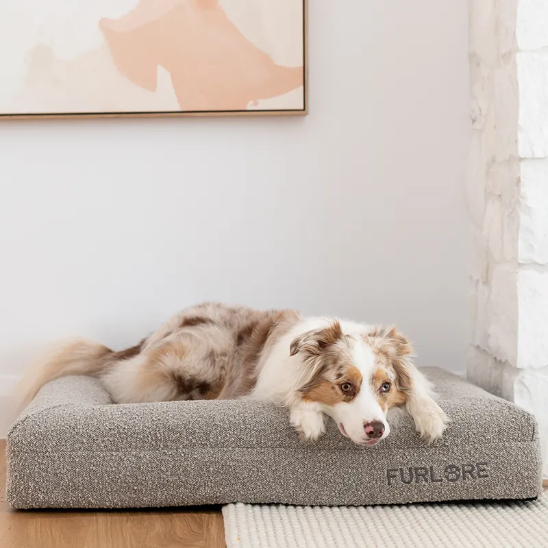 Premium Orthopaedic Memory Foam Bed in Luxury Bouclé