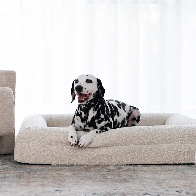 Premium Orthopaedic Memory Foam Bed in Luxury Bouclé