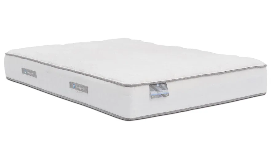 Sealy Double Mattress