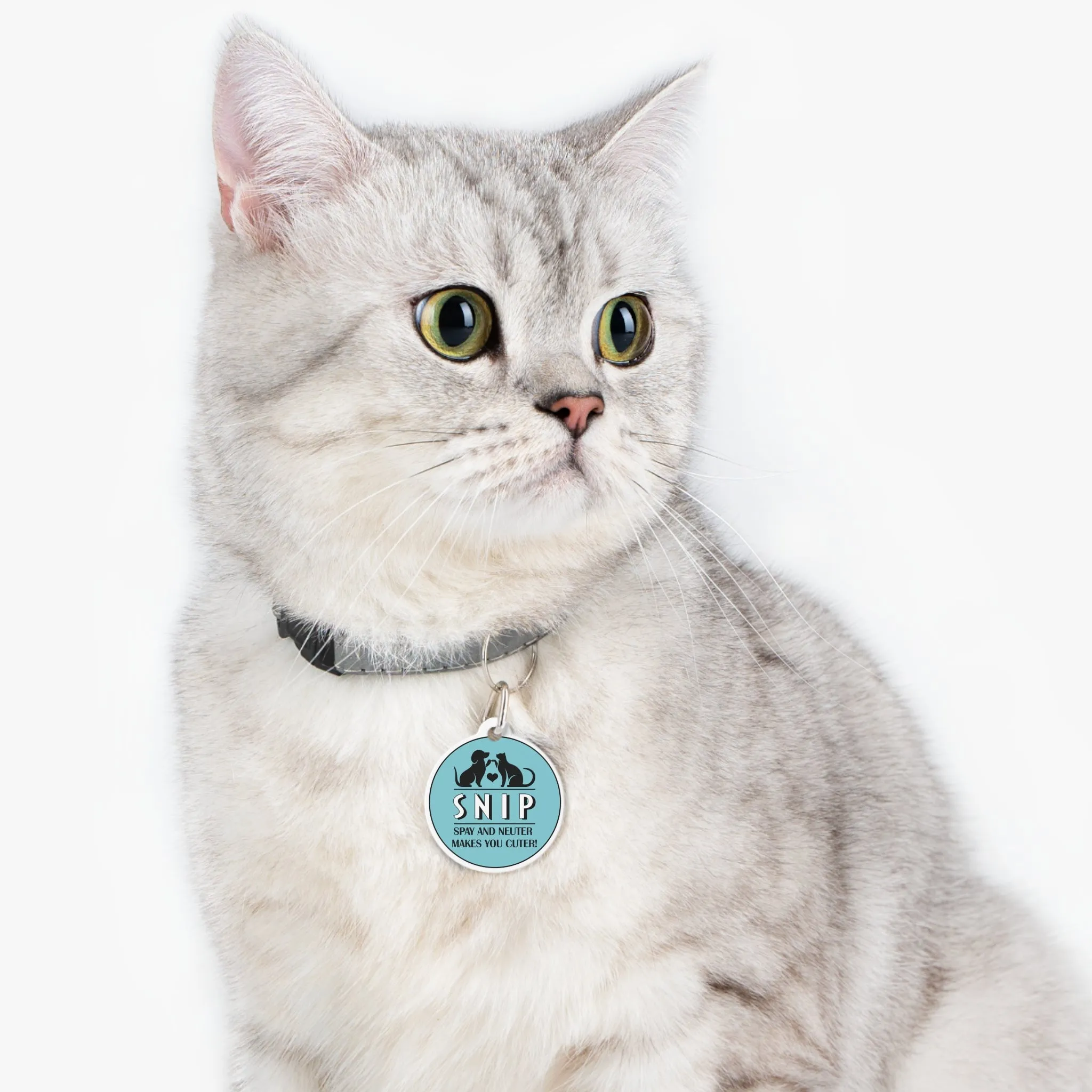 Spay & Neuter Makes You Cuter - Pet Tag