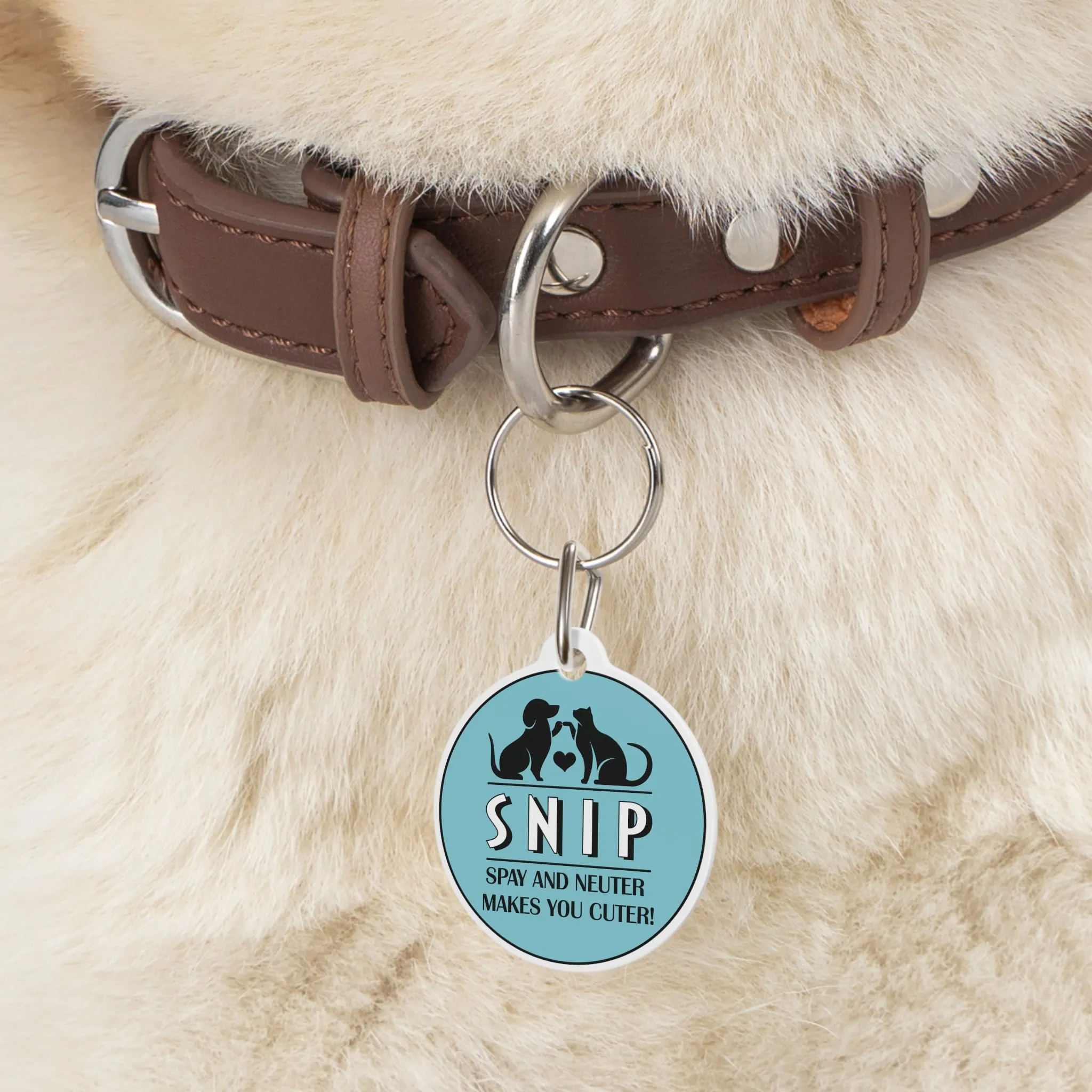 Spay & Neuter Makes You Cuter - Pet Tag