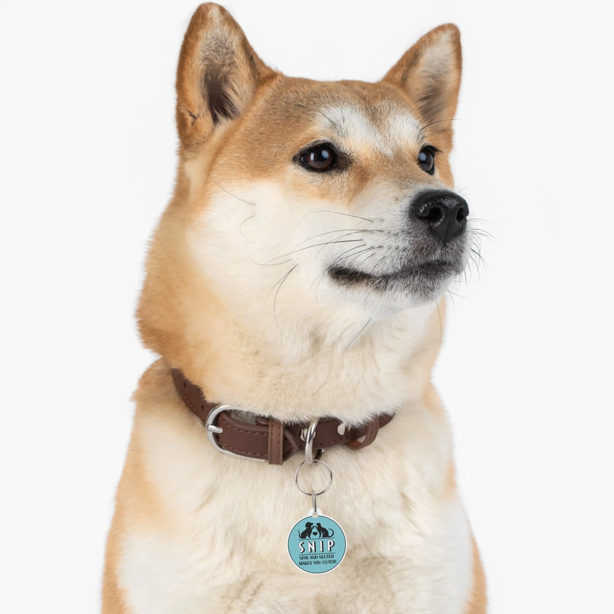 Spay & Neuter Makes You Cuter - Pet Tag