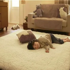 Super Soft Lamb Modern Shag Area Rug