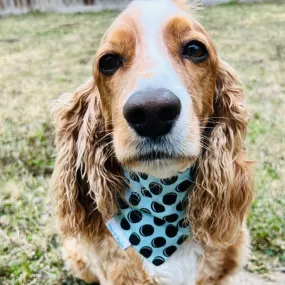 The Oreo Dog Bandana