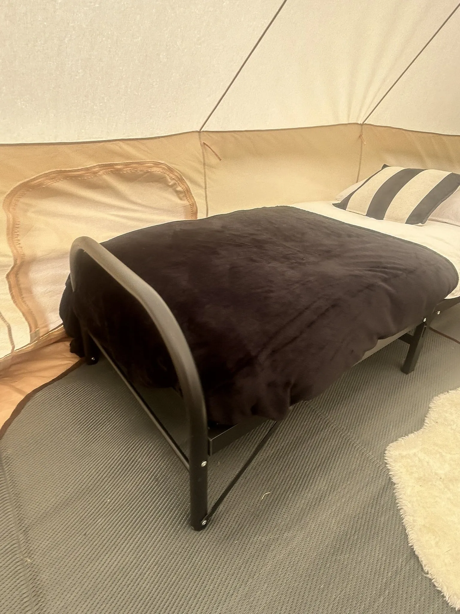 Ultra-Comfort Camping Bed: Lightweight Foldable Frame with Luxury Mattress & Memory Foam Topper