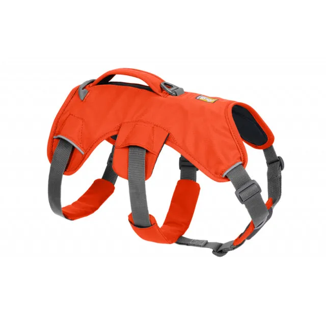 Web Master Harness