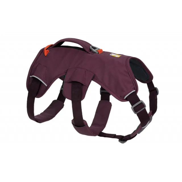 Web Master Harness