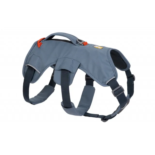 Web Master Harness