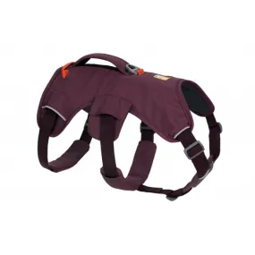 Web Master Harness