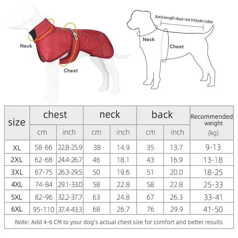 Winter Reflective Jacket for Medium and Large Dogs - Keep Your French Bulldog, Dachshund, and Labrador Warm, Dry, and Visible