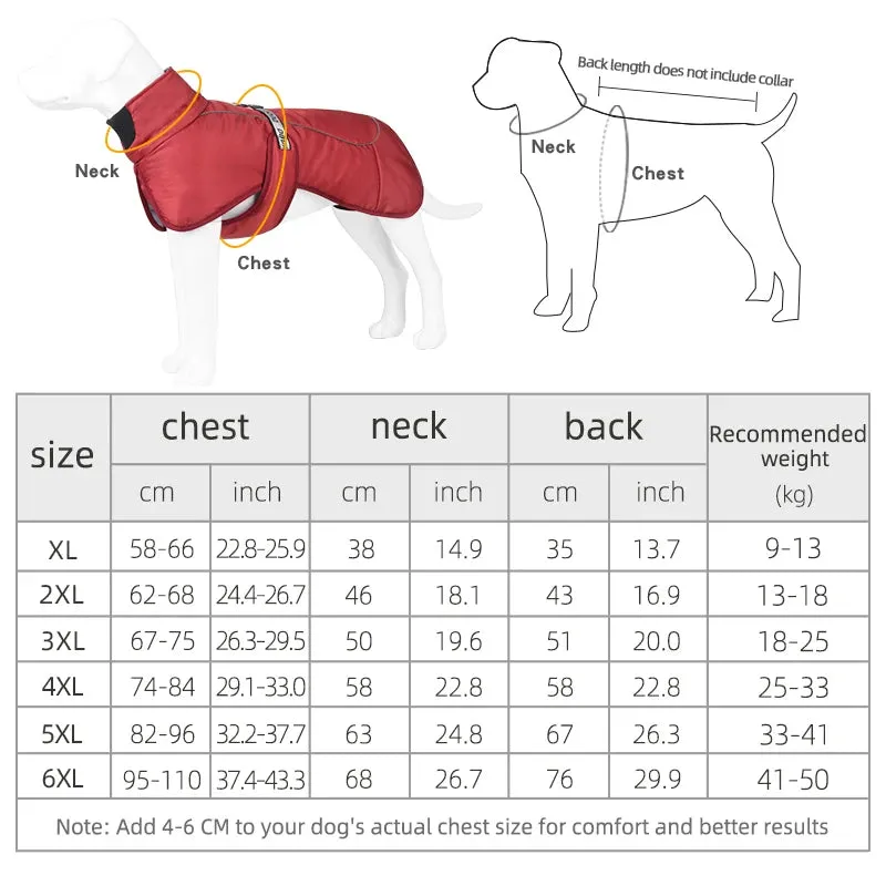 Winter Reflective Jacket for Medium and Large Dogs - Keep Your French Bulldog, Dachshund, and Labrador Warm, Dry, and Visible