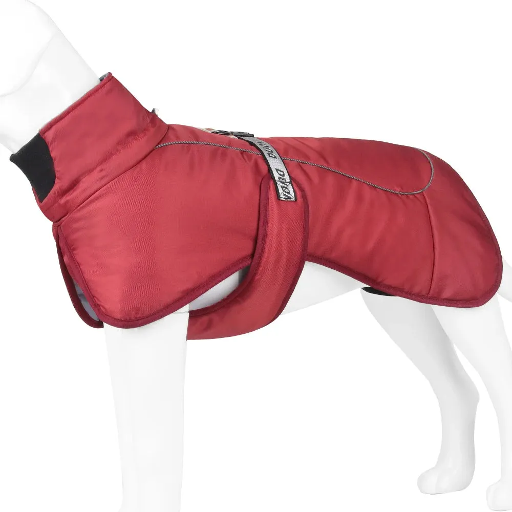 Winter Reflective Jacket for Medium and Large Dogs - Keep Your French Bulldog, Dachshund, and Labrador Warm, Dry, and Visible