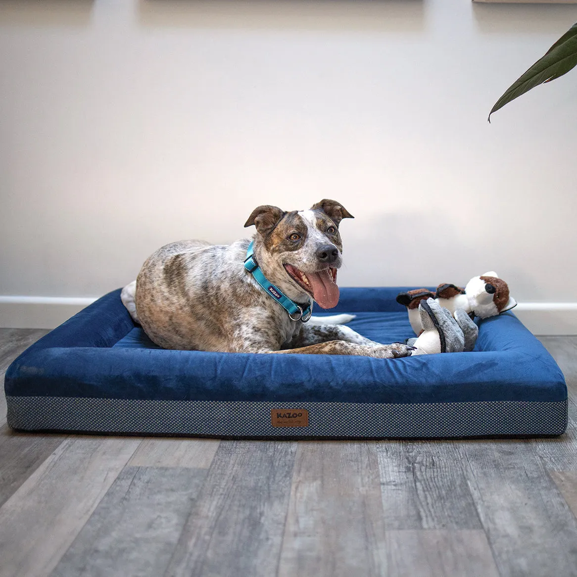 Wombat Dog Bed - Midnight Blue